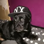 Stephen Leclercq - @leclercqstephen - Instagram