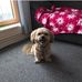 Stephen Leek - Facebook