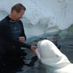 Steven Lefler - @modular_lifestyles - Instagram