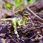 Stephen Leger - @leger_stephen - Instagram