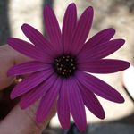 Stephen legg - @stephendaltonlegg198180 - Instagram