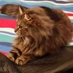 Stephen Legge - @stephen.legge - Instagram