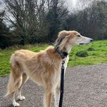 Stephen Leggett - @stephenleggett38 - Instagram