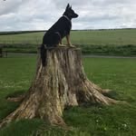 Stephen Leitch - @leitchstephen - Instagram