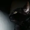 Stephen Lemieux - @stephenlemieux_1303 - TikTok