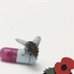 Stephen Lemon - @stephen.lemon.3 - Instagram