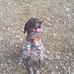 Steven Lentz - Facebook