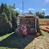 Steph Lessard - @stephlessard - TikTok