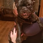 Stephen Leyland - @steleyland1 - Instagram