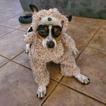 Stephen Libby - @stephenlibby8 - Instagram