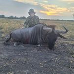 Stephen Licata - @windrunner308 - Instagram