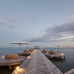 Stephen Lighter - @stephenlighter - Instagram