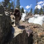 Stephen Anthony Lima - @stephen.a.lima - Instagram