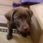 Stephen J Lippold - @stephen.lippold - Instagram