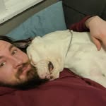 Steven Harrison Liss - @steven.liss - Instagram