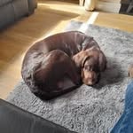 Stephen Litchfield - @stephenlitchfield - Instagram