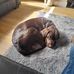 Stephen Litchfield - Facebook