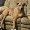 Stephen Losaw - @stephenlosaw00 - TikTok
