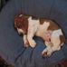 Steve Loeffler - Facebook