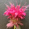 Stephen Long - @stephen.long5 - TikTok