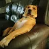stephenlong - @stephenlong3871 - TikTok