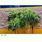 Stephen Lorentzen - @stephenlorentzen - Instagram