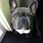 Stephen Lumb - @lumbstephen - Instagram