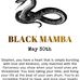 Stephen Malone - Facebook