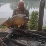 Stephen Mann - @steppi65 - Instagram