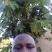 Stephen Mate - Facebook