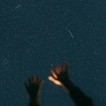 stephen meyer - @ft_stephen - Instagram