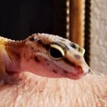 Stephen Moore - @stephen_moore_poppop - Instagram