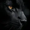 Stephen Munis - @stephen.munis - TikTok