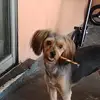 Steph Palumbo - @steph.palumbo - TikTok