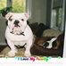 Stephen Pardee - Facebook