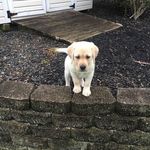 Stephen Parent - @stephenaparent - Instagram