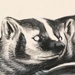 Stephen Parent - @_stephenparent_ - Instagram