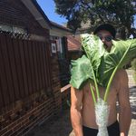 @stephenpascoe - Instagram