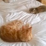 Stephen AP - @stephen.patching - Instagram