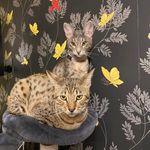 Steve Patchett - @stephenpatchett5 - Instagram