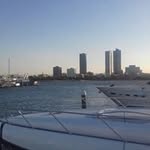 Stephen Pearsall - @stephenpearsall - Instagram