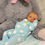 Stephen Pedley - @pedleys - Instagram