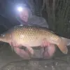 peg81 - @stephenpegler4 - TikTok
