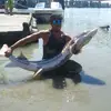 Stephen Pelletier - @stephen.pelletier - TikTok