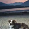Steph Pemberton - @steph.pemberton0 - TikTok