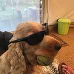 Stephen Pendleton - @stephenpendleton2018 - Instagram