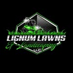 Stephen Scuba Pendleton - @lignumlawns - Instagram