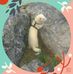 Steve Pendleton - Facebook