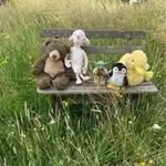 @pengelly.stephen - Instagram