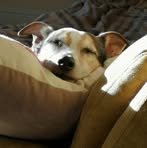 Stephen Pengelly - Facebook